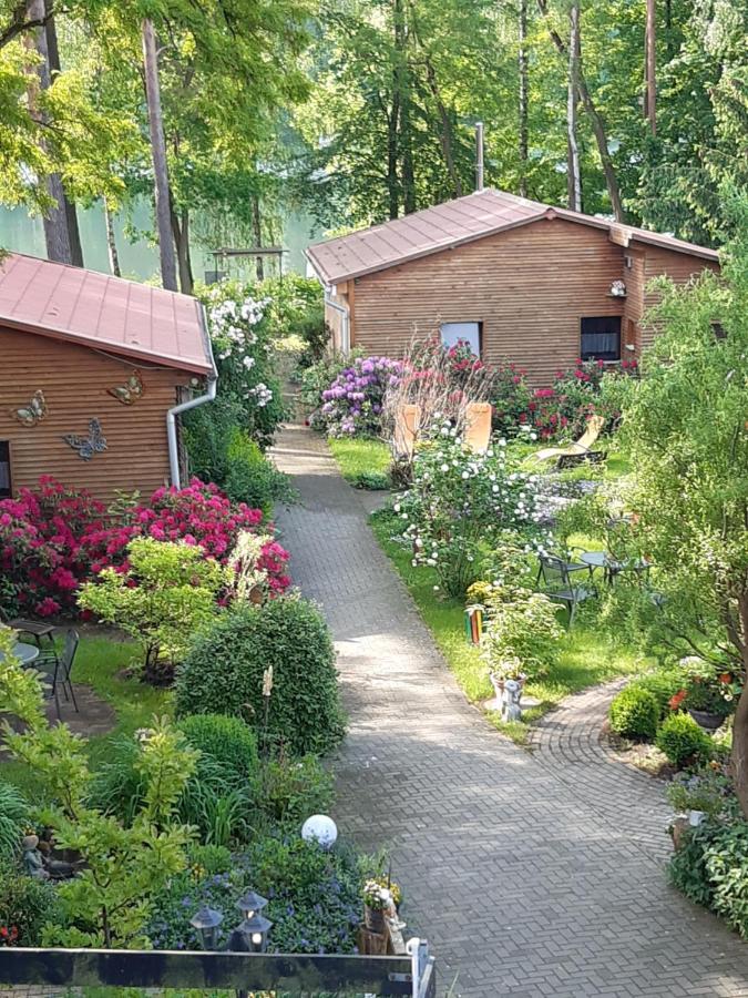 Готель Monikas Gaestehaeuser Seeblick Гіммельпфорт Екстер'єр фото